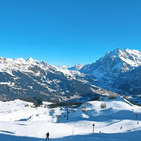 Heidi By Interhome Grindelwald