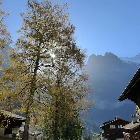 Appartement Heidi By Interhome *