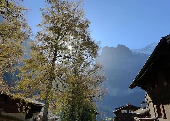 Appartement Heidi By Interhome *